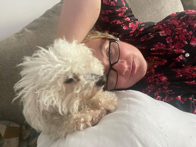 Bichon Frise