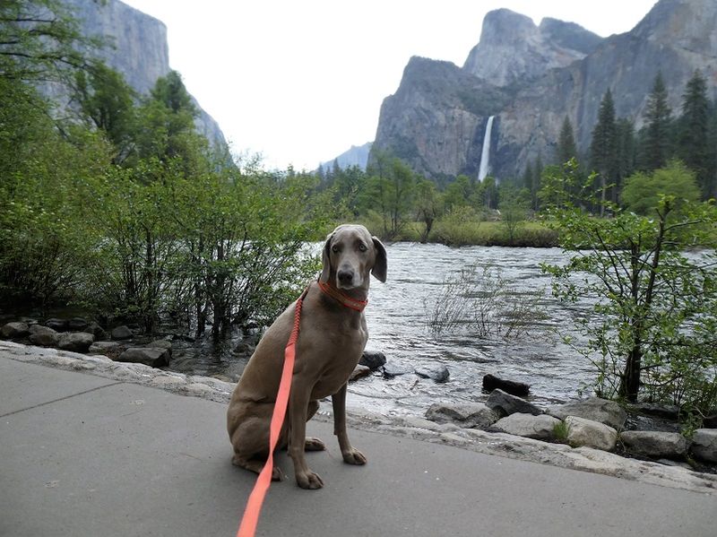 Yosemite National Park