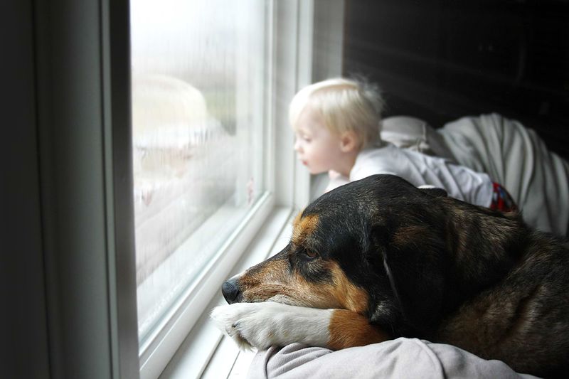 Silent Comfort during Storms
