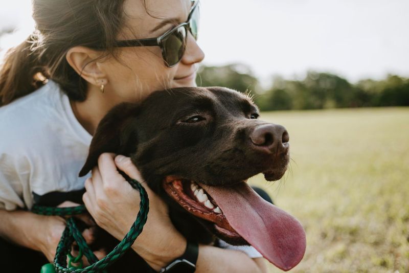 Understand Your Dog's Body Language