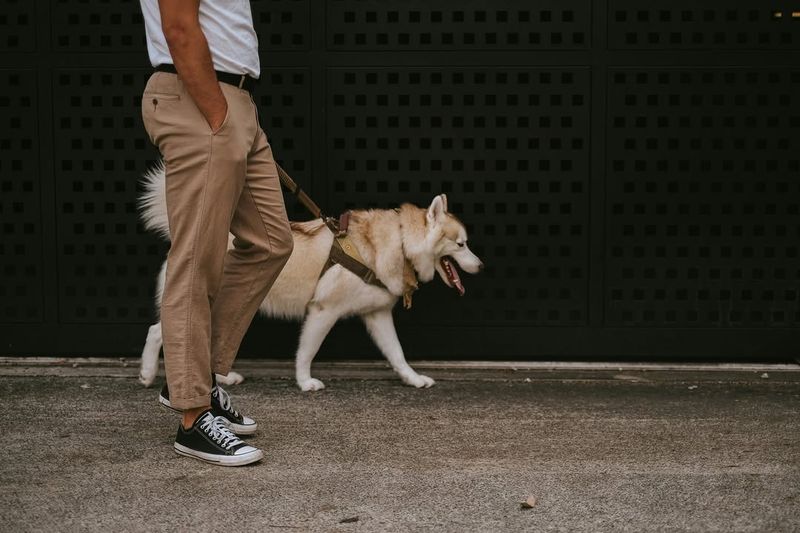 Pulling on the Leash