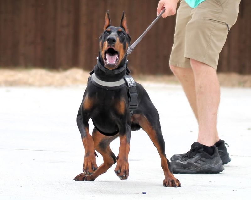 Security & Protection