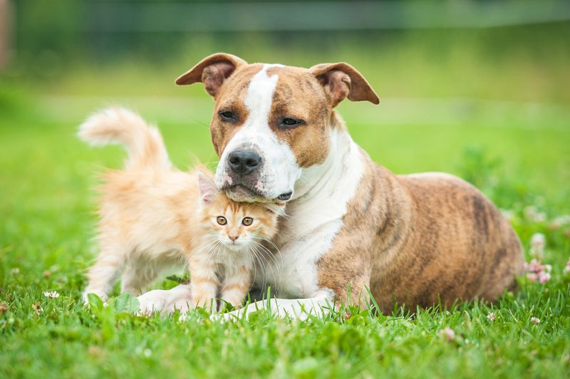 Improved Household Behavior