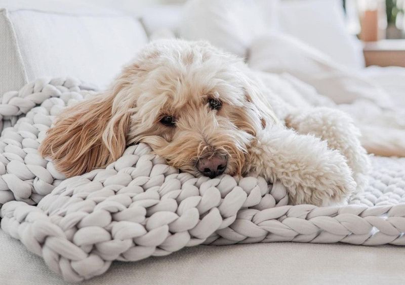 Weighted Blanket