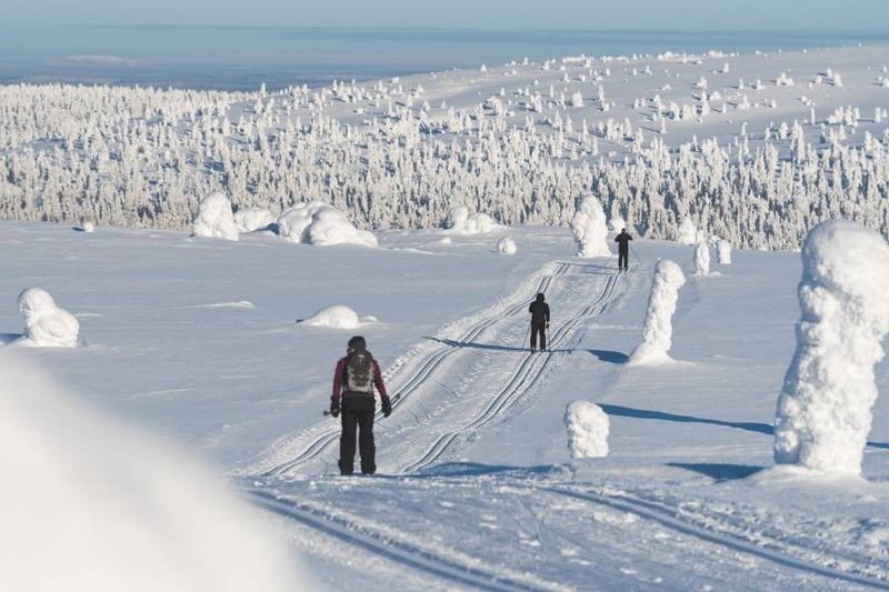 Cross-Country Skiing Expedition