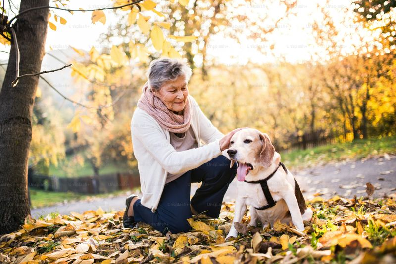 Plan a Favorite Activity