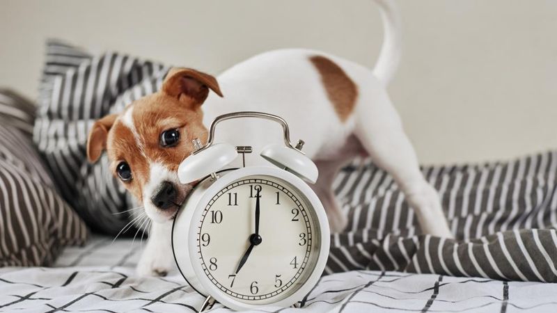 Underestimating Time Commitment