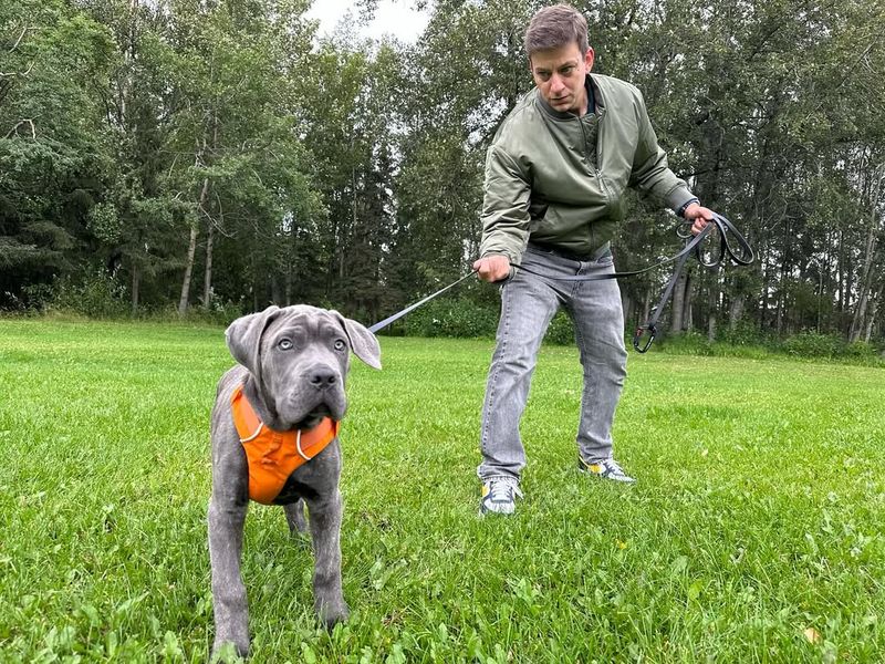 Resisting Training