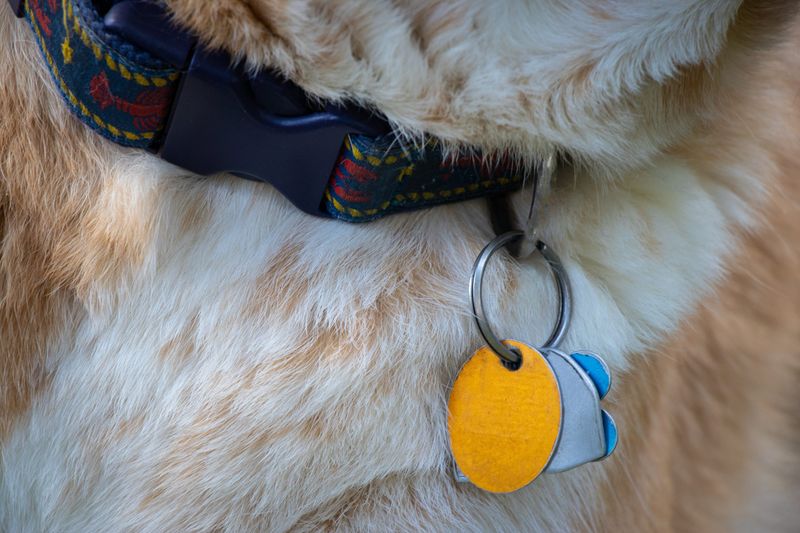 Forgetting to Update ID Tags