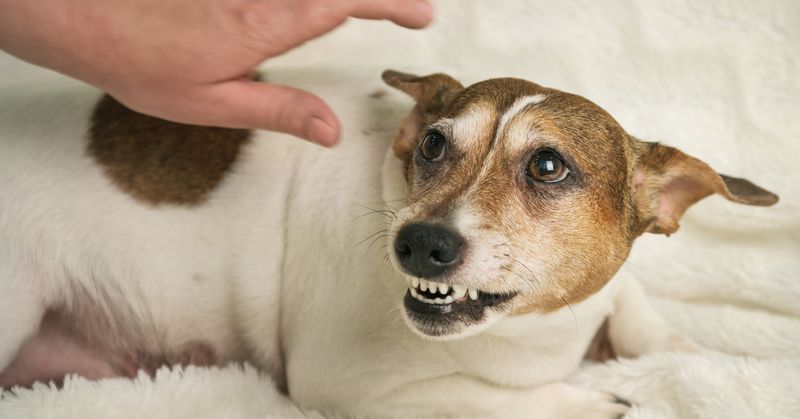 Forcing Unwanted Interaction