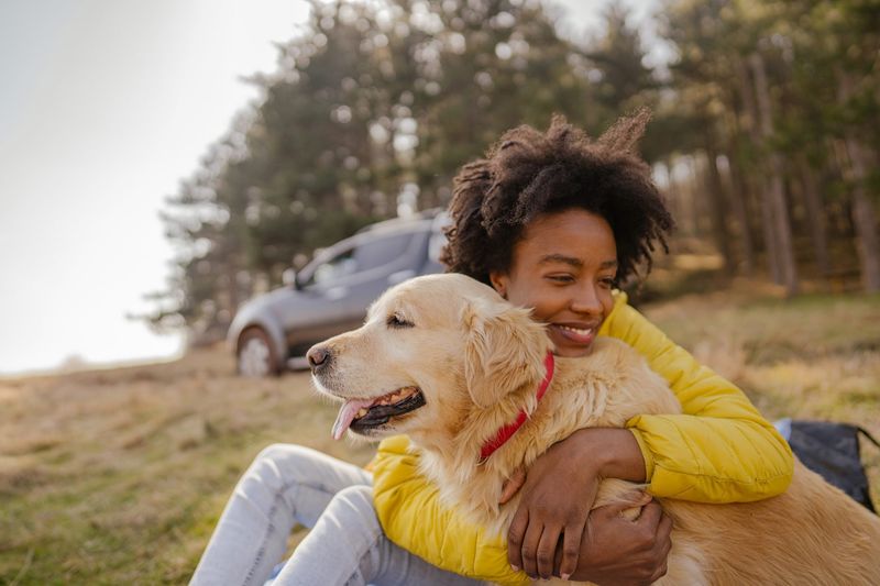 Emotional Support and Stress Relief