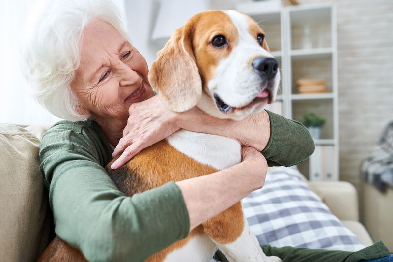 Emotional Support