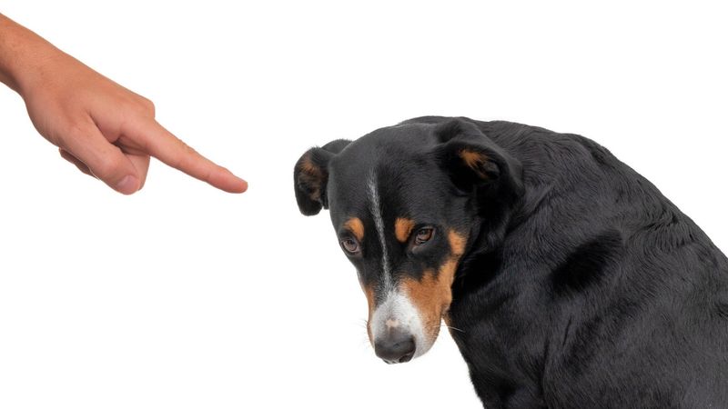 Punishment-Based Techniques