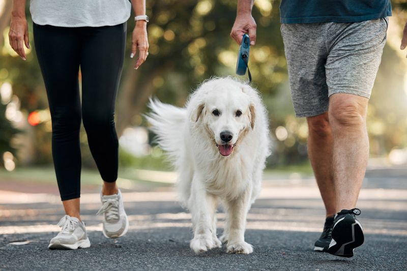 Not Providing Enough Exercise