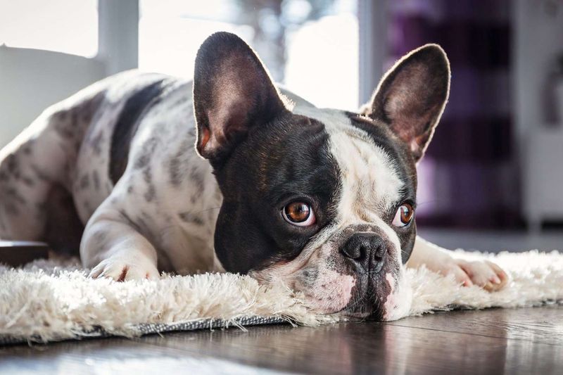 Ignoring Signs of Stress
