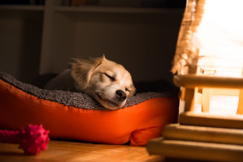Improved Sleep