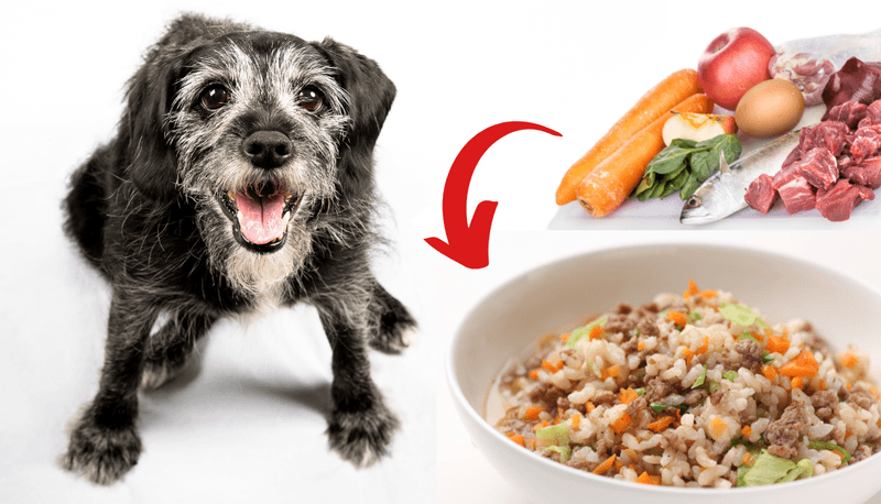 Digestive Changes