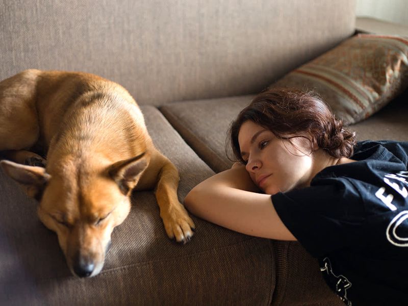 Distant Sleep