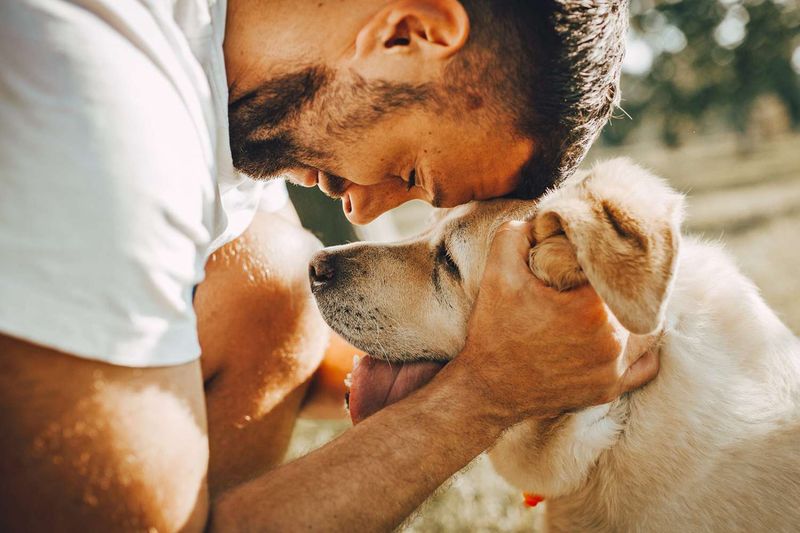 Loyal Companions