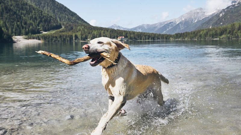 Endless Enthusiasm
