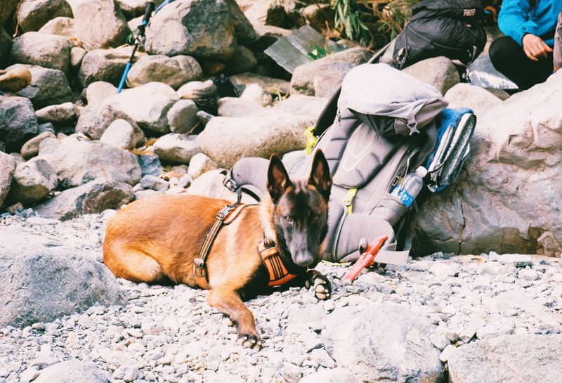 Adventurous Spirit