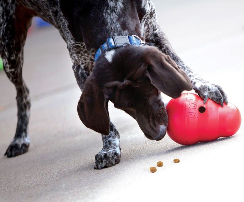 Kong Wobbler