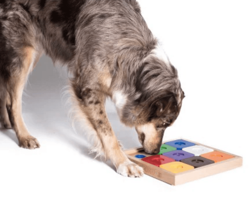 Doggy Sudoku