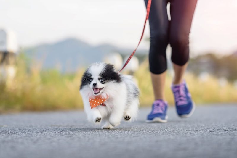 Provide Regular Exercise