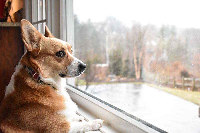 Patience in Waiting