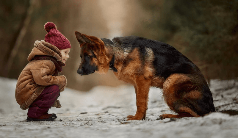 Steadfast Friend