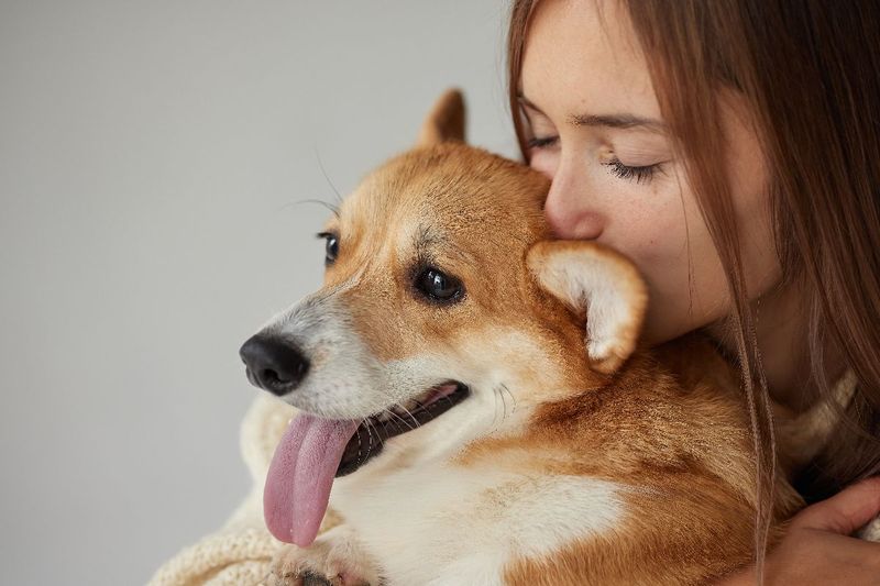 Non-Judgmental Companion