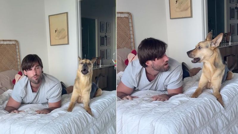 Mimicking Behavior