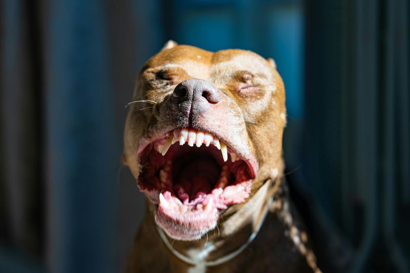 Yawning
