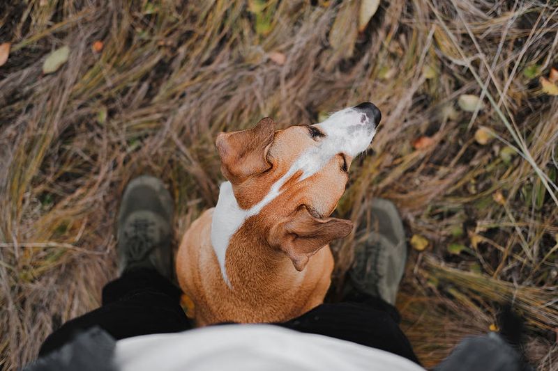 Sitting on Your Feet