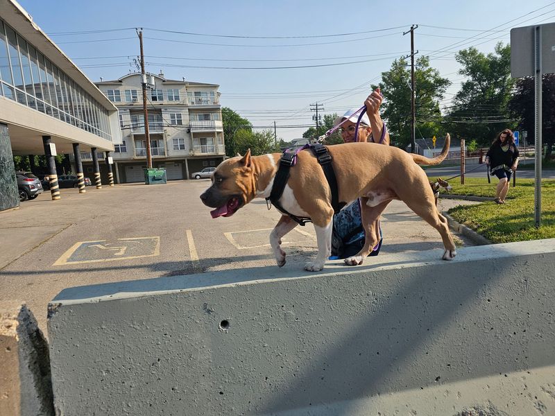 City Parkour Adventure