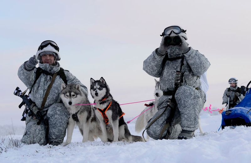 Siberian Husky