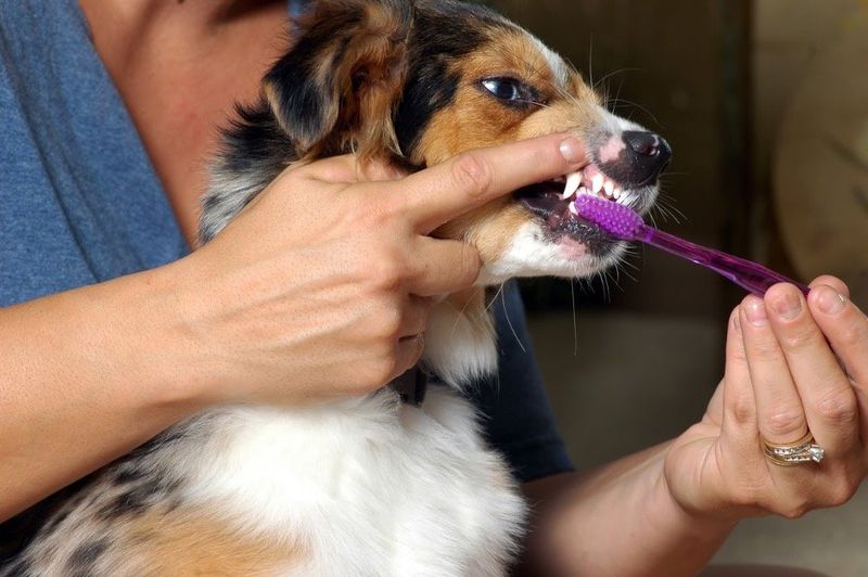 Bad Breath
