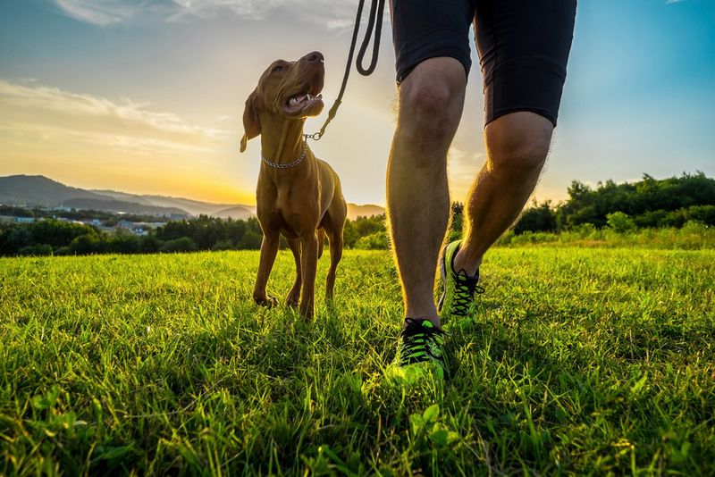 Forgetting Exercise