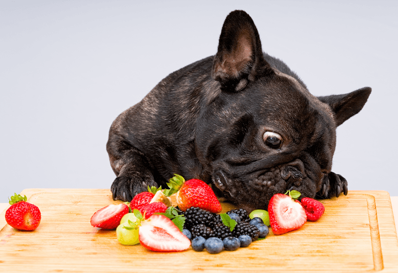 No Variety in Diet