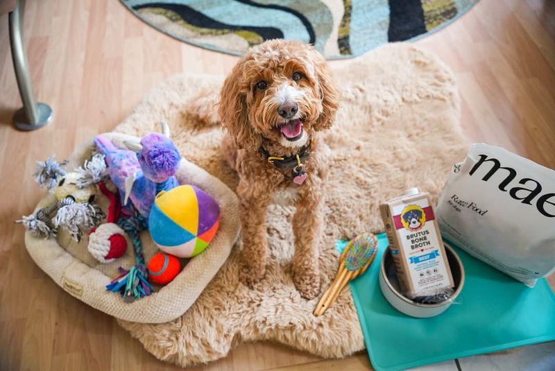 Bringing You Their Toys