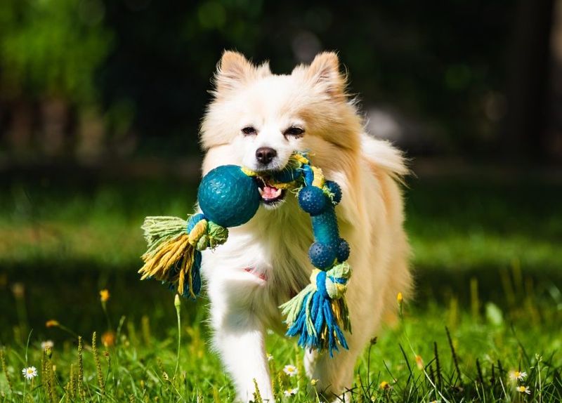 Using Inappropriate Toys