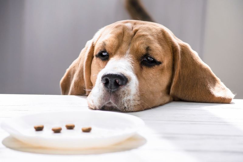 Changes in Appetite
