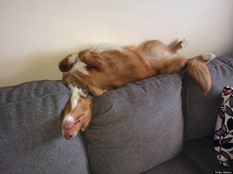 Sleeping in Odd Positions