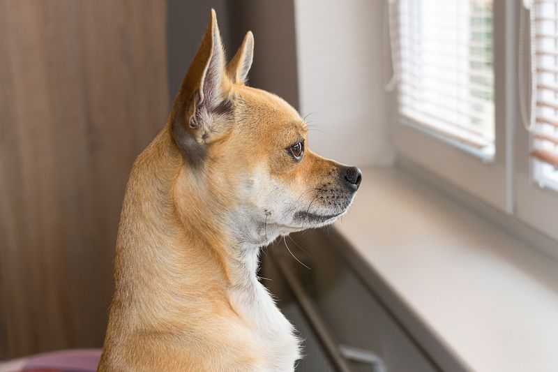Watching You Leave
