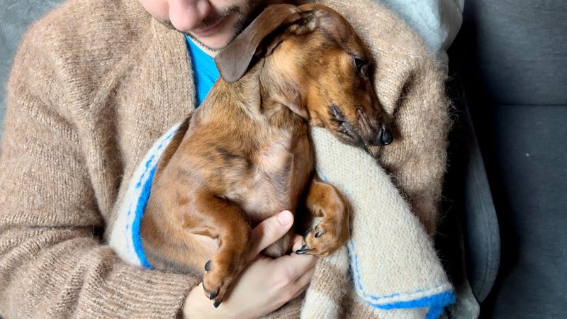 Increased Cuddling