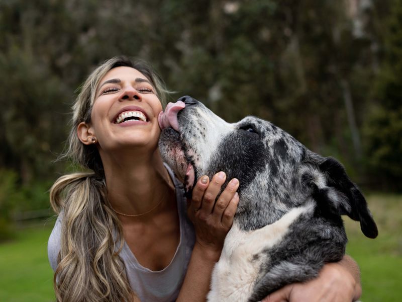 Showing Affectionate Licks