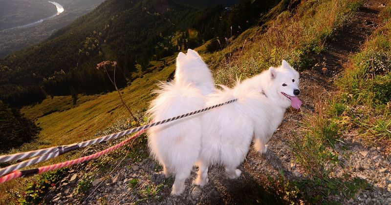 A Heart for Adventure
