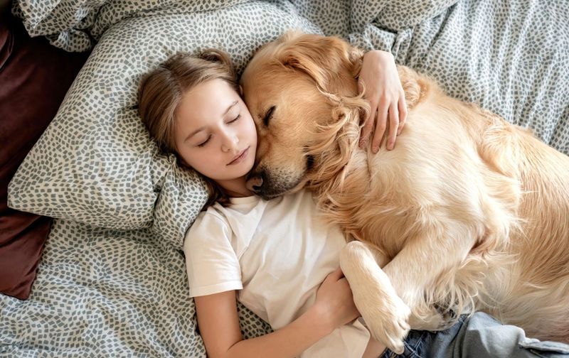 Comforting Snuggles