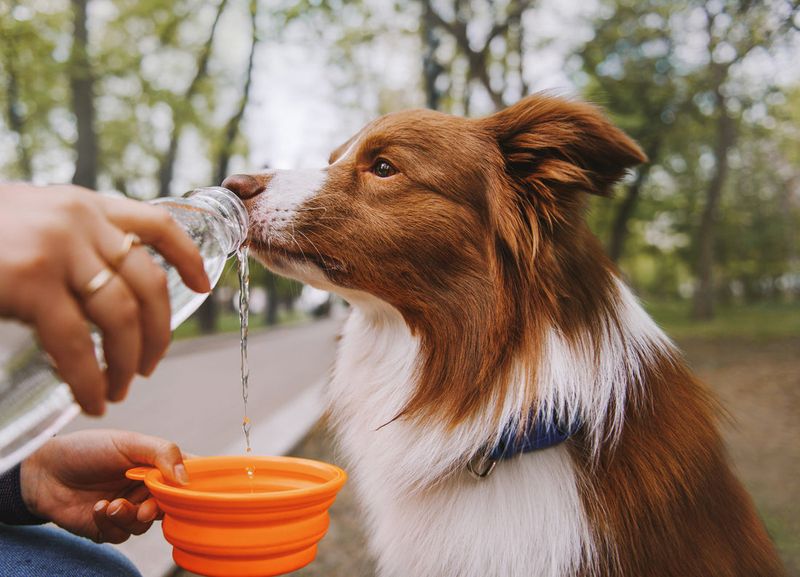 Hydration is Key
