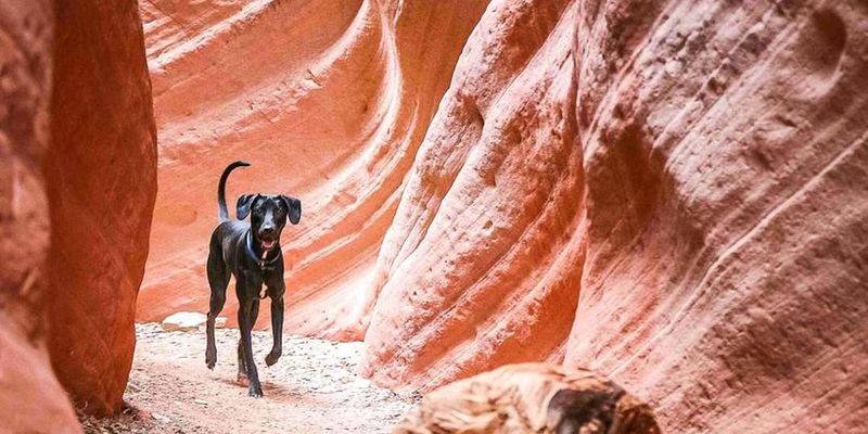 Canyon Echoes Trail